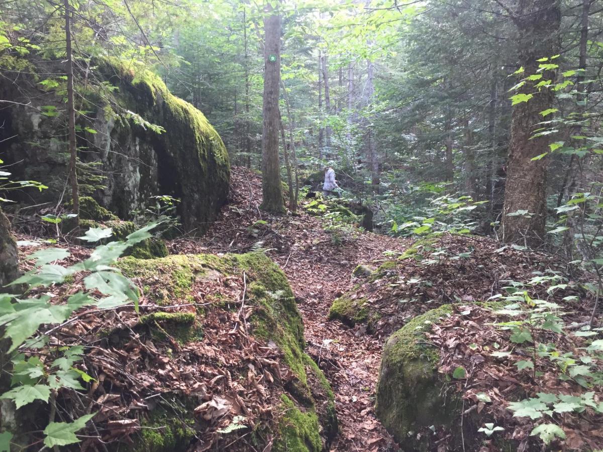 Chalet Nature Laurentides Val-des-Lacs Bagian luar foto