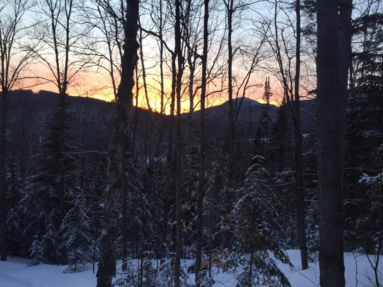 Chalet Nature Laurentides Val-des-Lacs Bagian luar foto